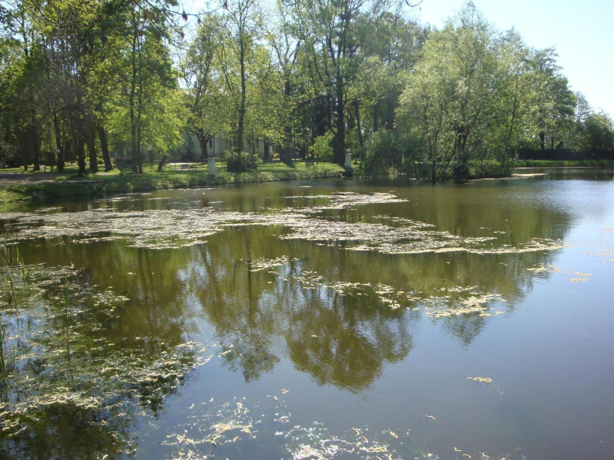 Palac Nieznanice Zabytek Goscinny Ze Spa Buitenkant foto
